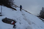19 Usciamo dal bosco